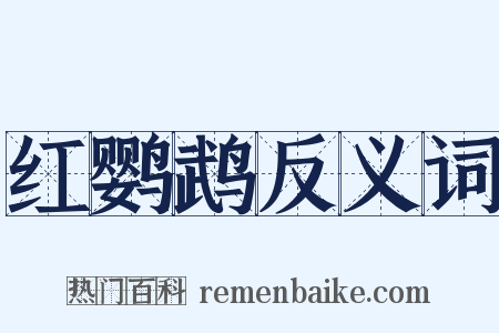 红鹦鹉反义词是什么意思的图片